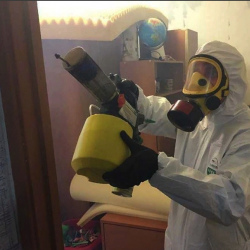 Уничтожение клопов в квартире. Красный Холм
